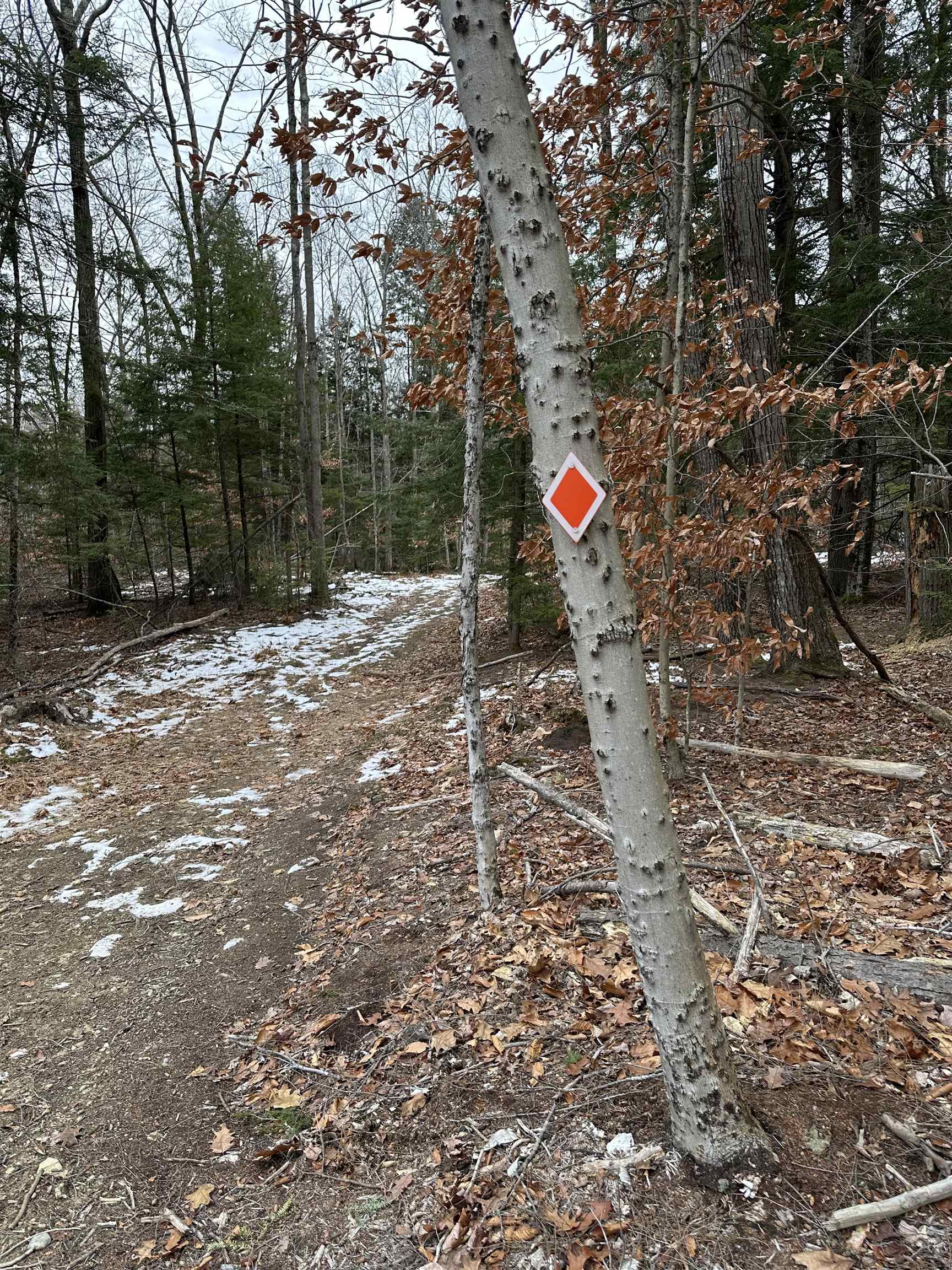 165 Allens Mill Road Gilmanton, NH 03237 - Photo 7 of 13