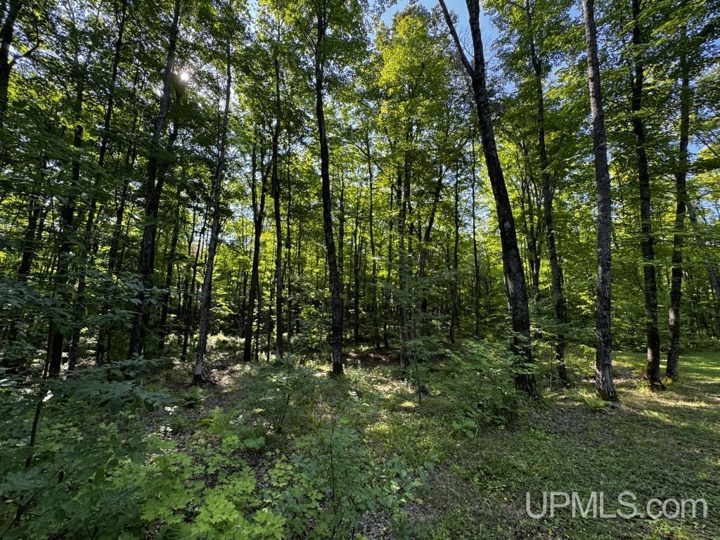 23240 China Road Nisula, MI 49952 - Photo 26 of 45 Gallery Image 26