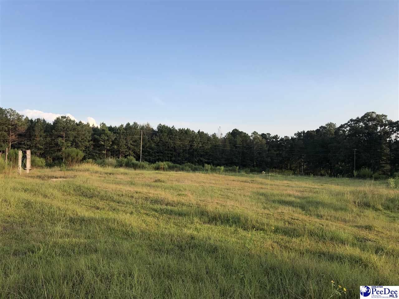 887 John Clark Road Hartsville, SC 29550 - Photo 1 of 1 Gallery Image 1