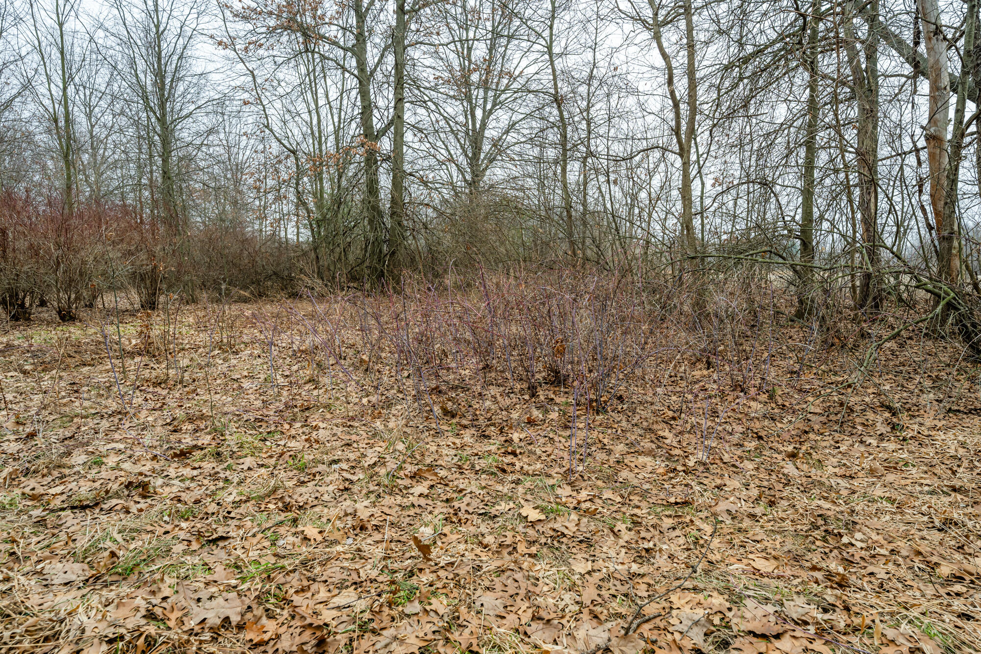 A Linke Road Bridgman, MI 49106 - Photo 11 of 18 Linke-111