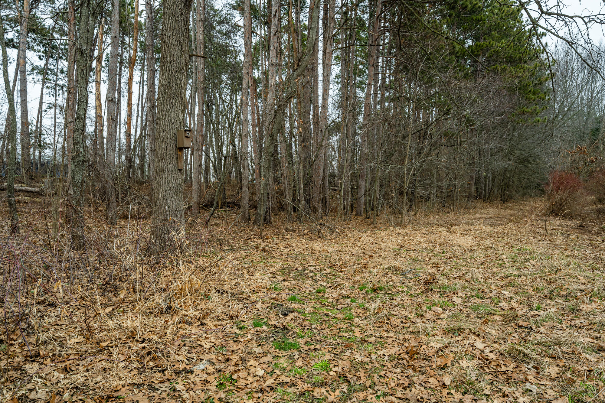 A Linke Road Bridgman, MI 49106 - Photo 12 of 18 Linke-112