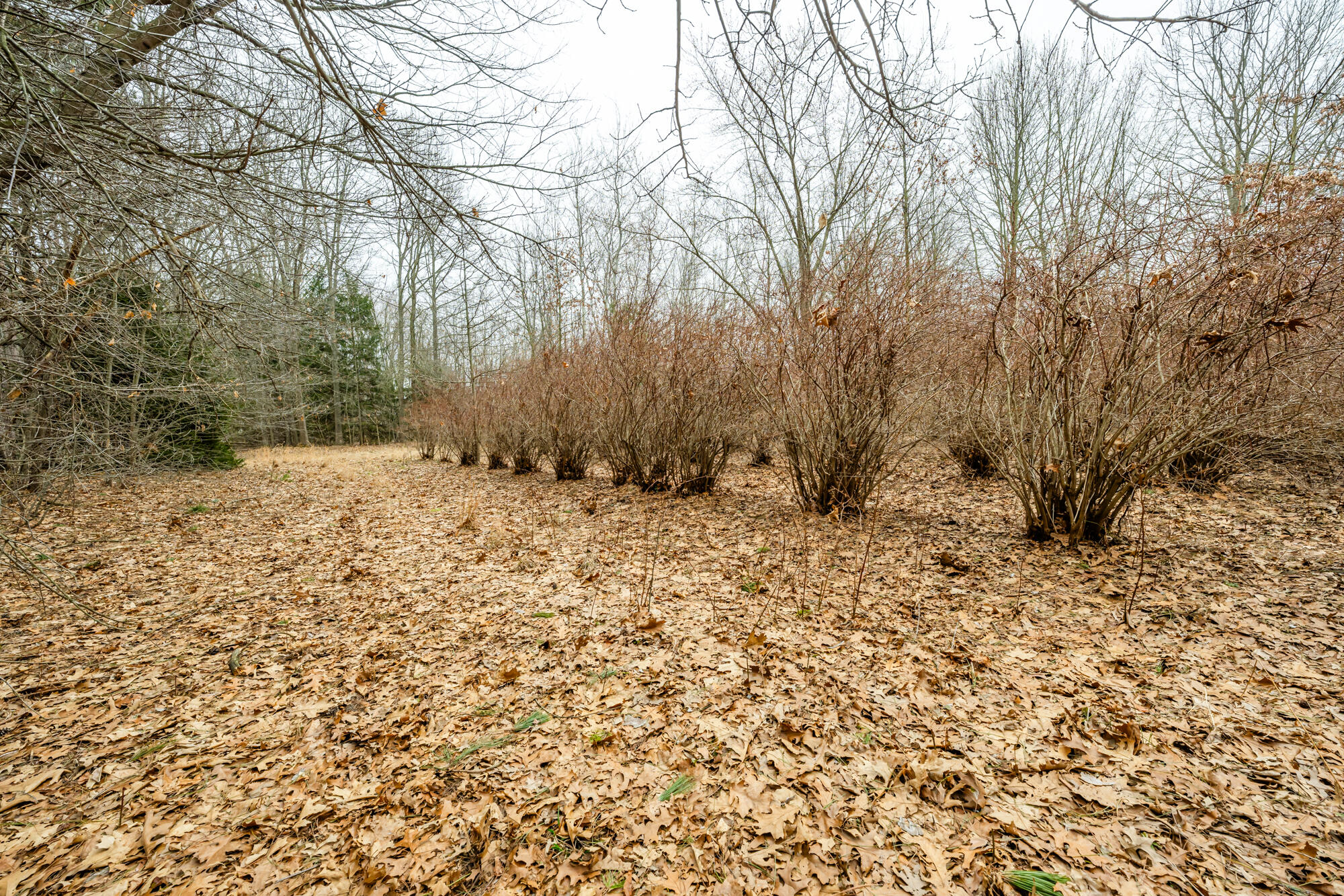 A Linke Road Bridgman, MI 49106 - Photo 13 of 18 Linke-113