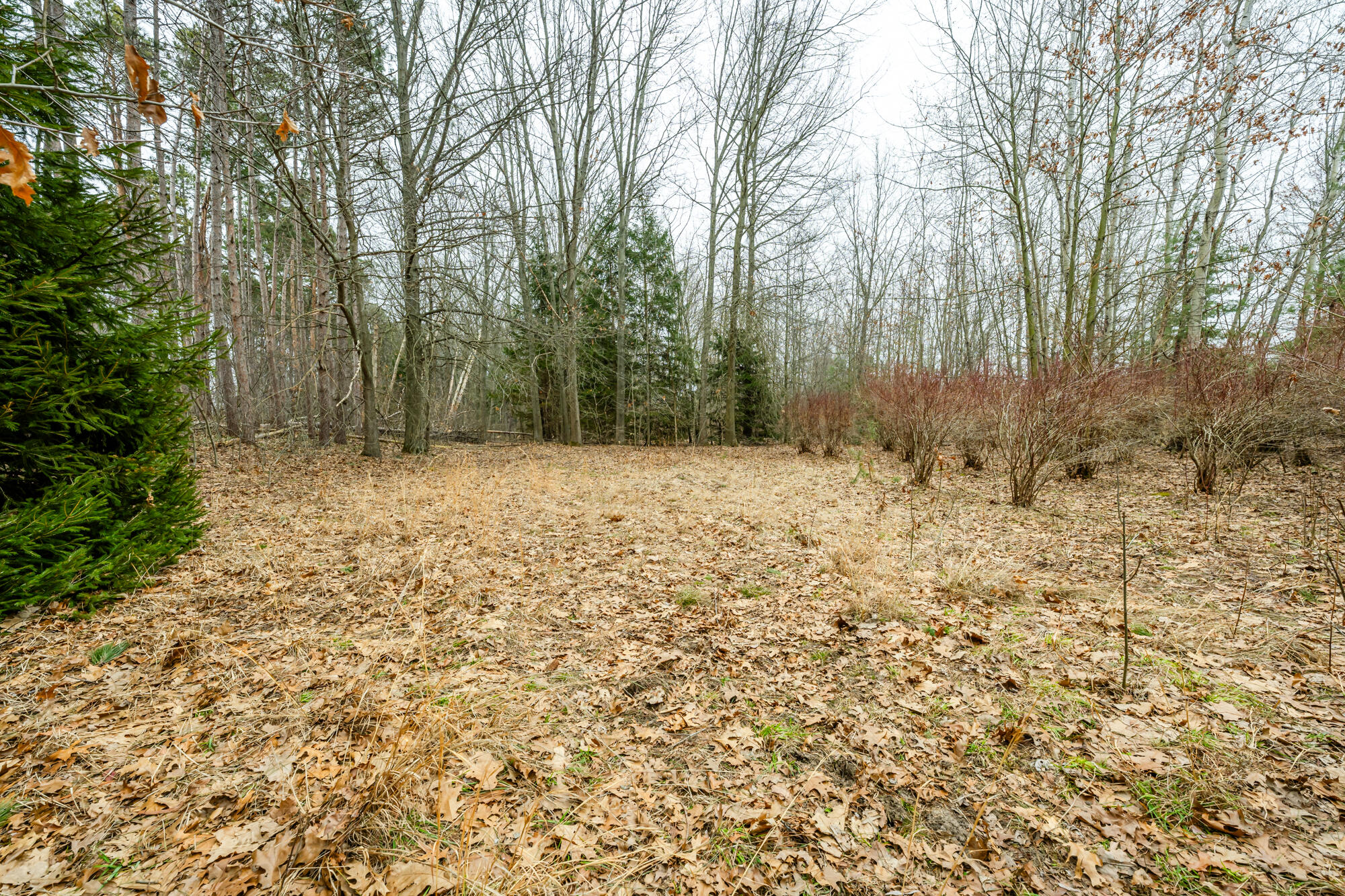 A Linke Road Bridgman, MI 49106 - Photo 14 of 18 Linke-114