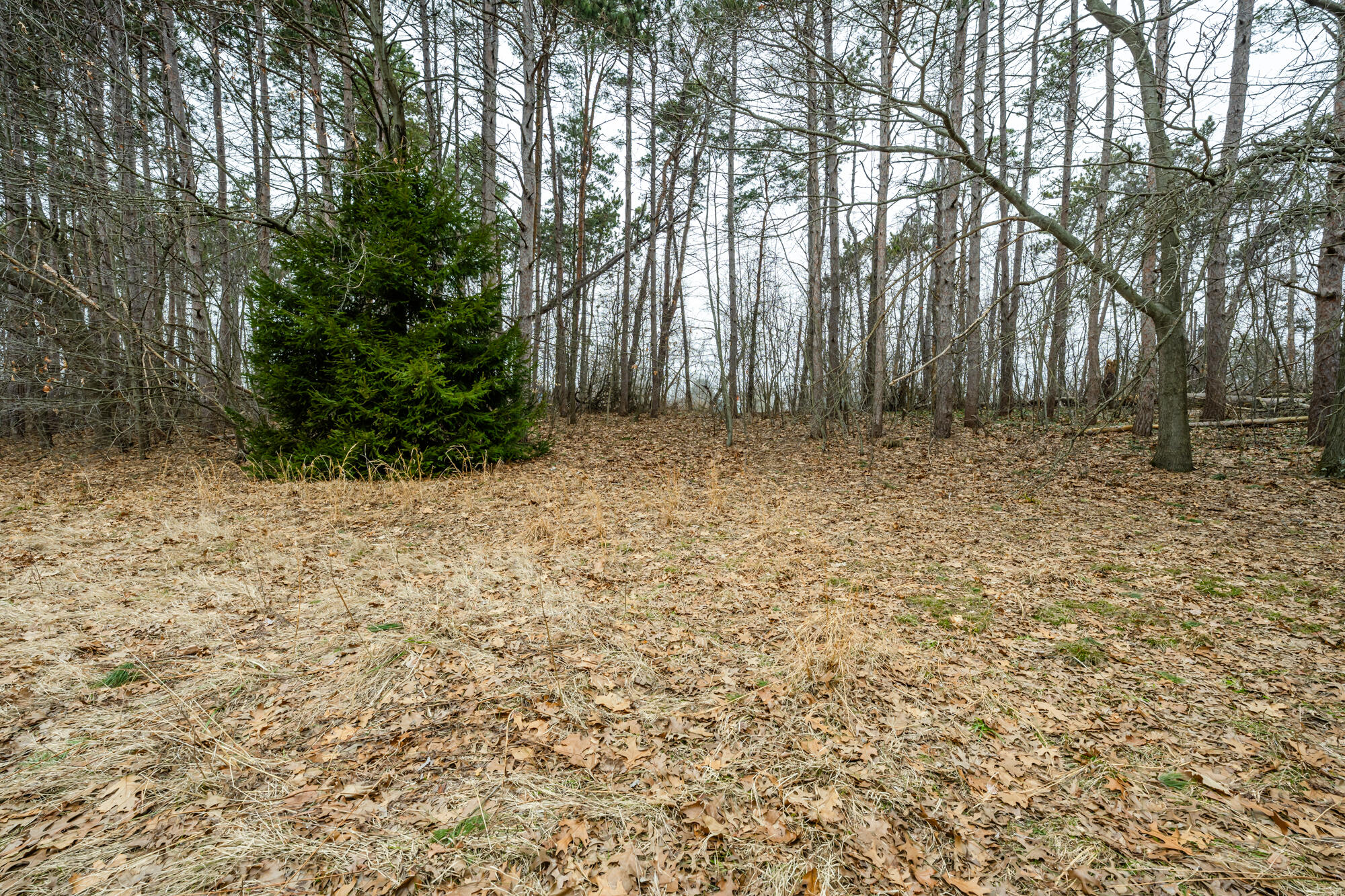 A Linke Road Bridgman, MI 49106 - Photo 15 of 18 Linke-115