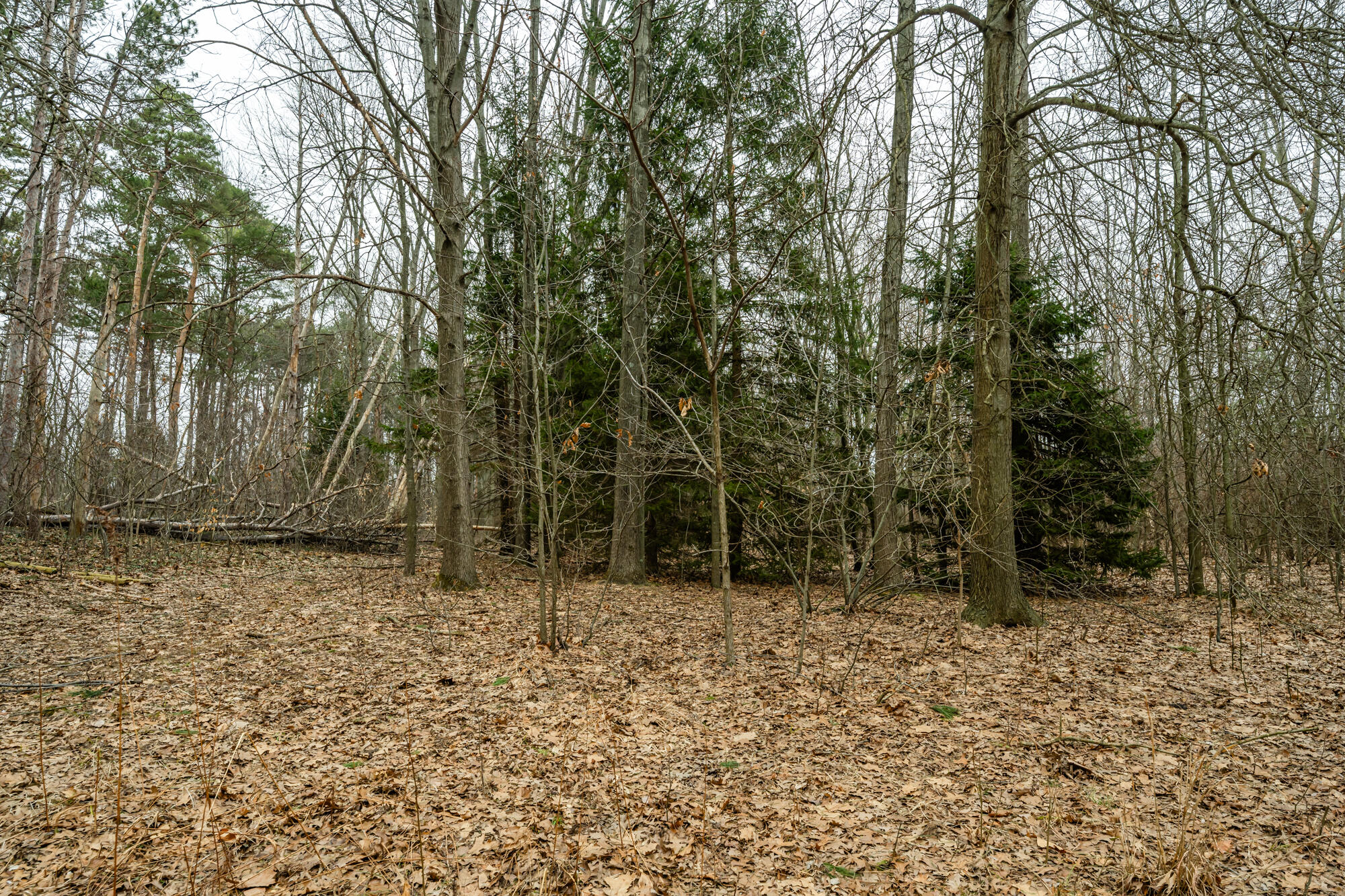 A Linke Road Bridgman, MI 49106 - Photo 16 of 18 Linke-116