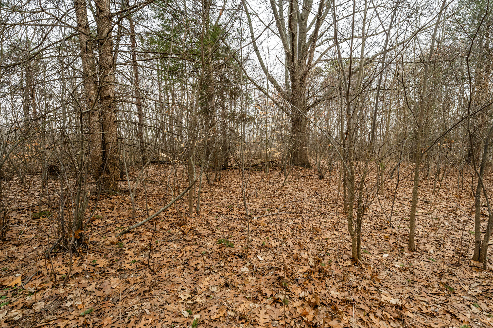 A Linke Road Bridgman, MI 49106 - Photo 5 of 18 Linke-105