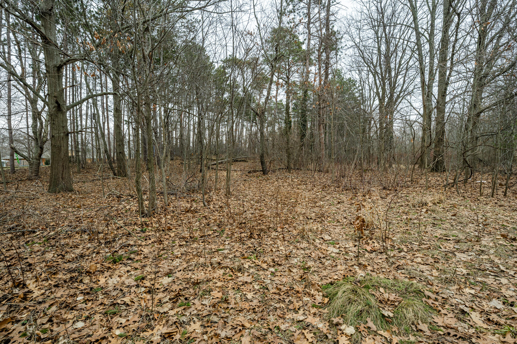 A Linke Road Bridgman, MI 49106 - Photo 6 of 18 Linke-106