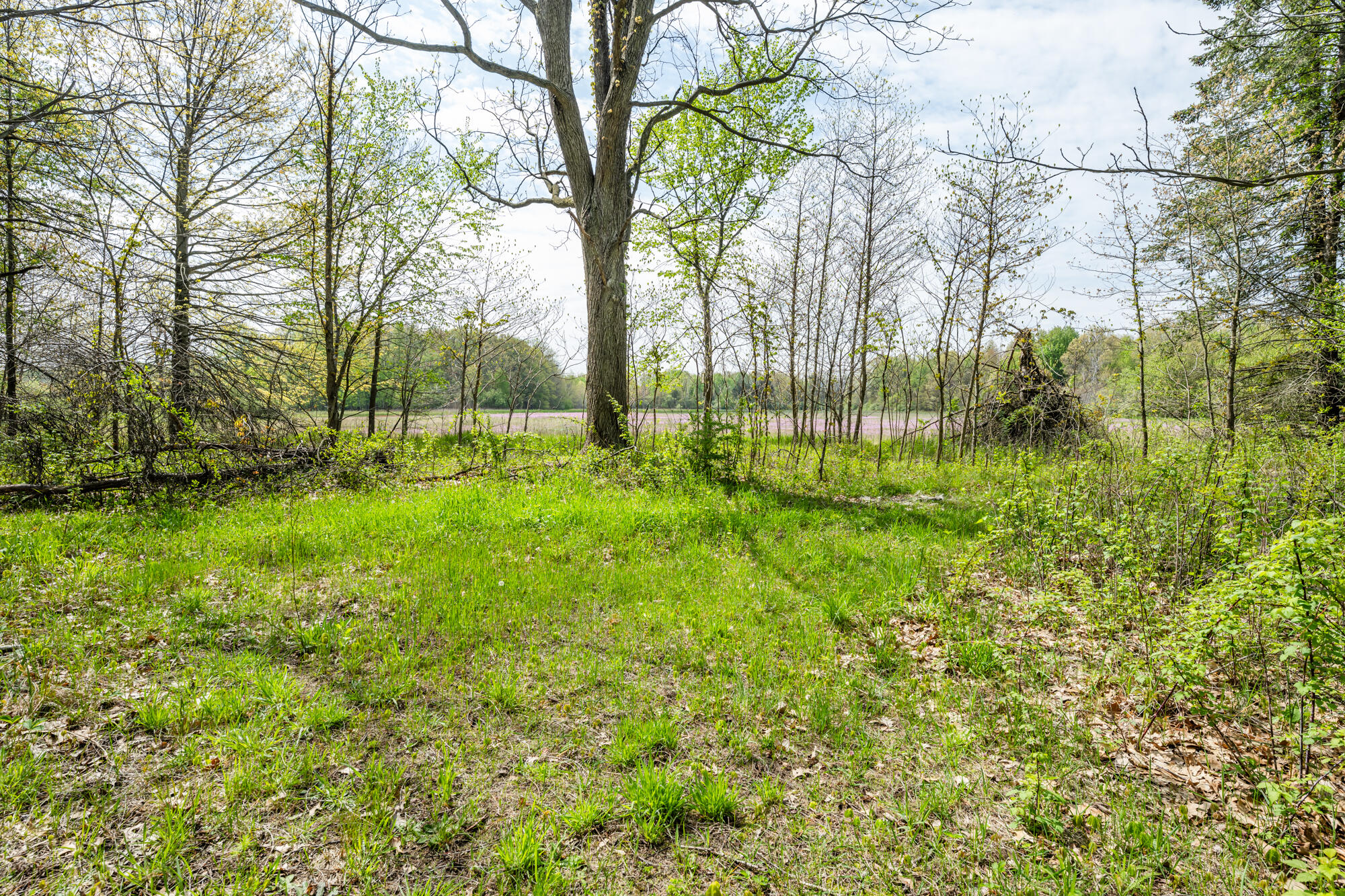 A Linke Road Bridgman, MI 49106 - Photo 6 of 25 Linke-206