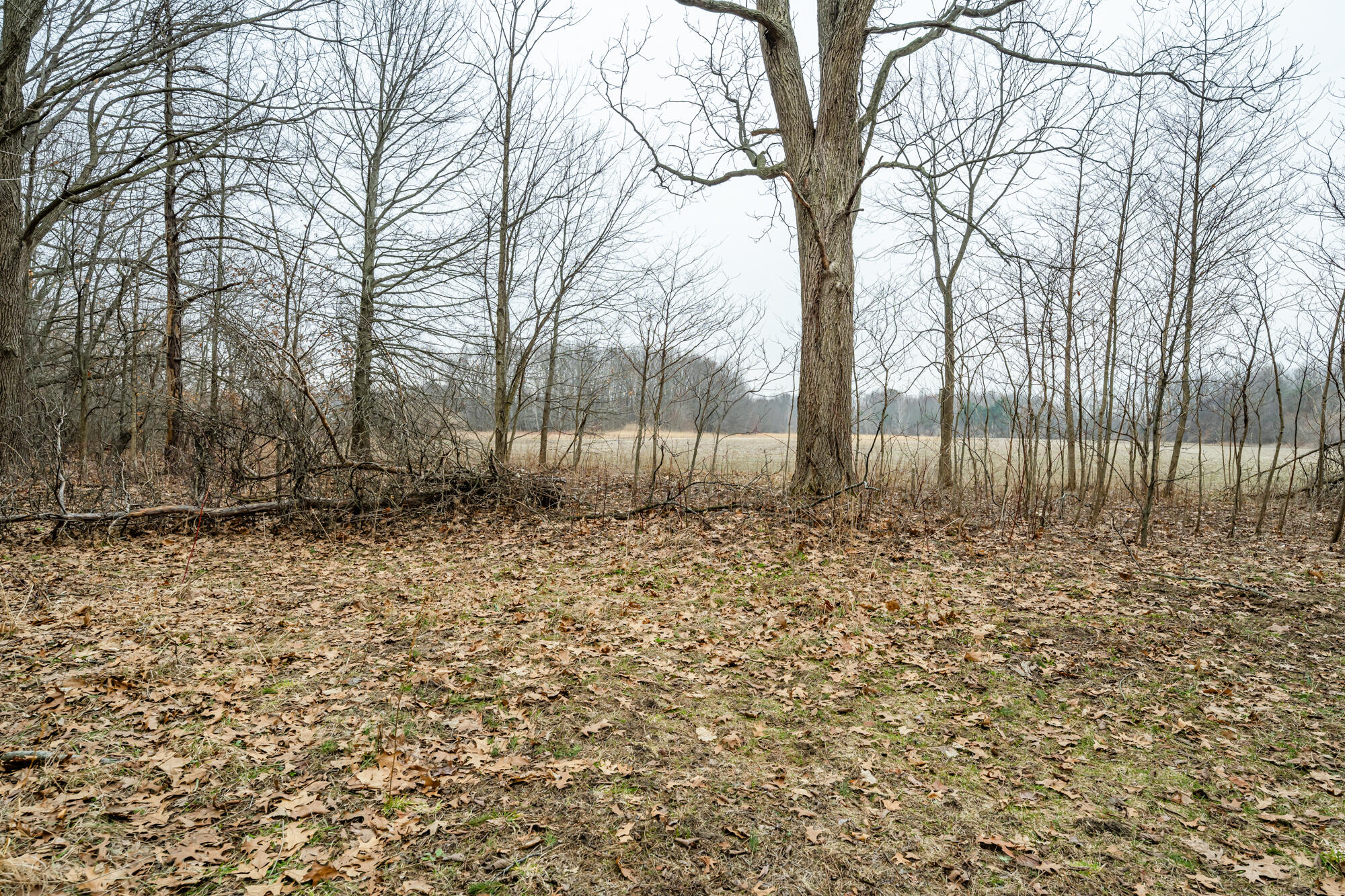 A Linke Road Bridgman, MI 49106 - Photo 7 of 18 Linke-107