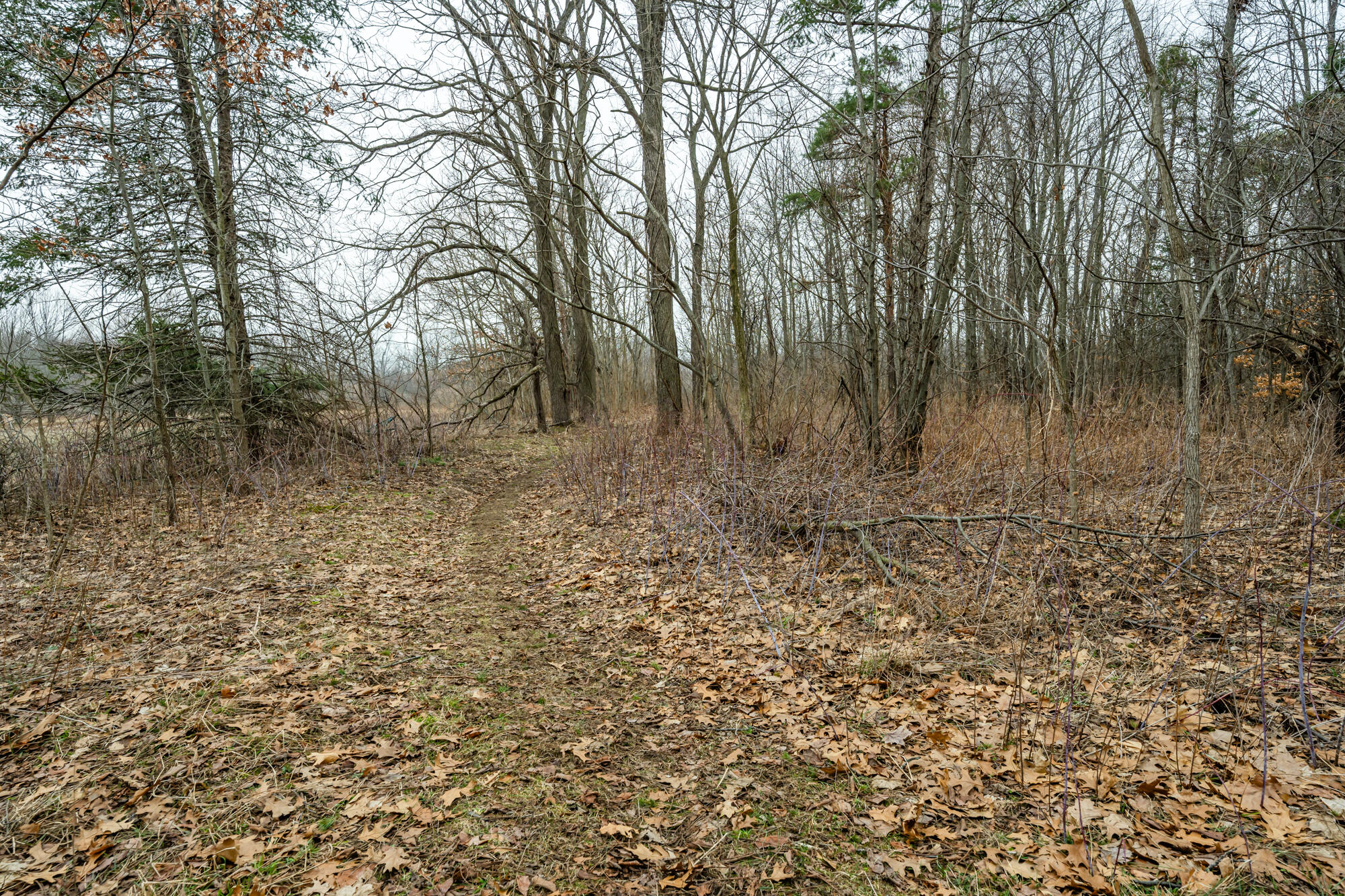 A Linke Road Bridgman, MI 49106 - Photo 8 of 18 Linke-108