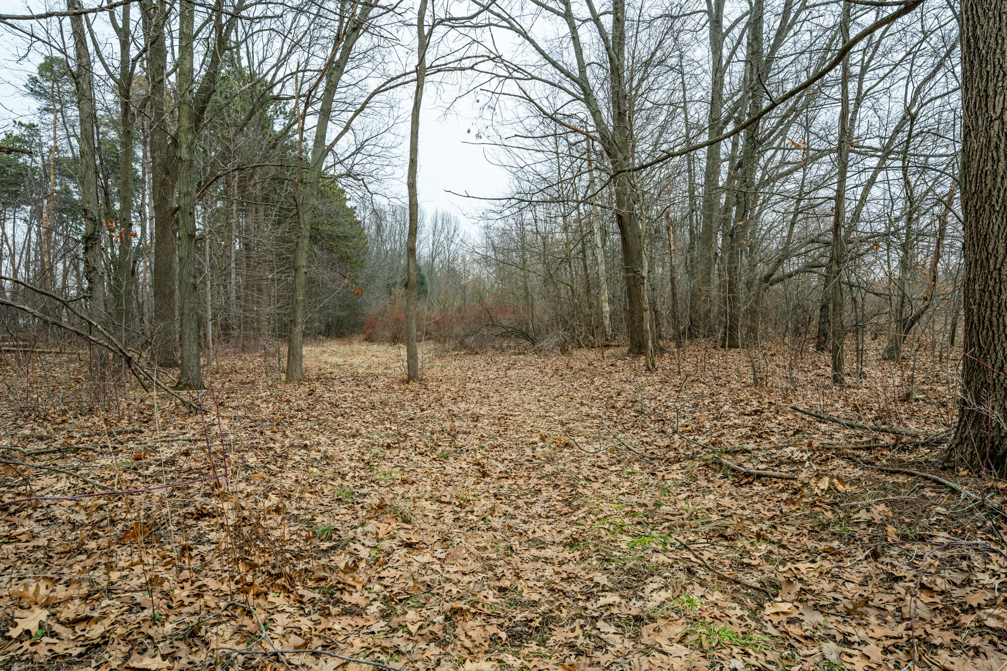 A Linke Road Bridgman, MI 49106 - Photo 9 of 18 Linke-109