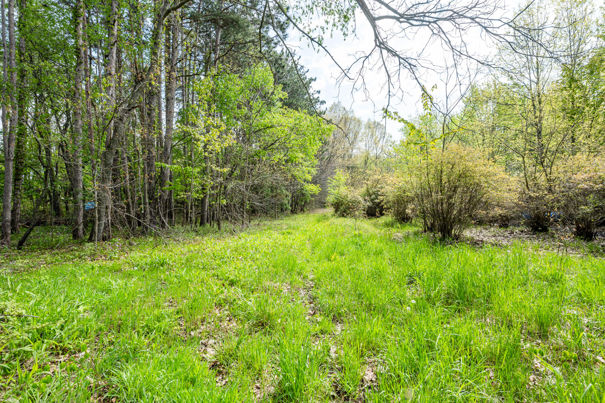 A Linke Road Bridgman, MI 49106 - Photo 9 of 25 Linke-209