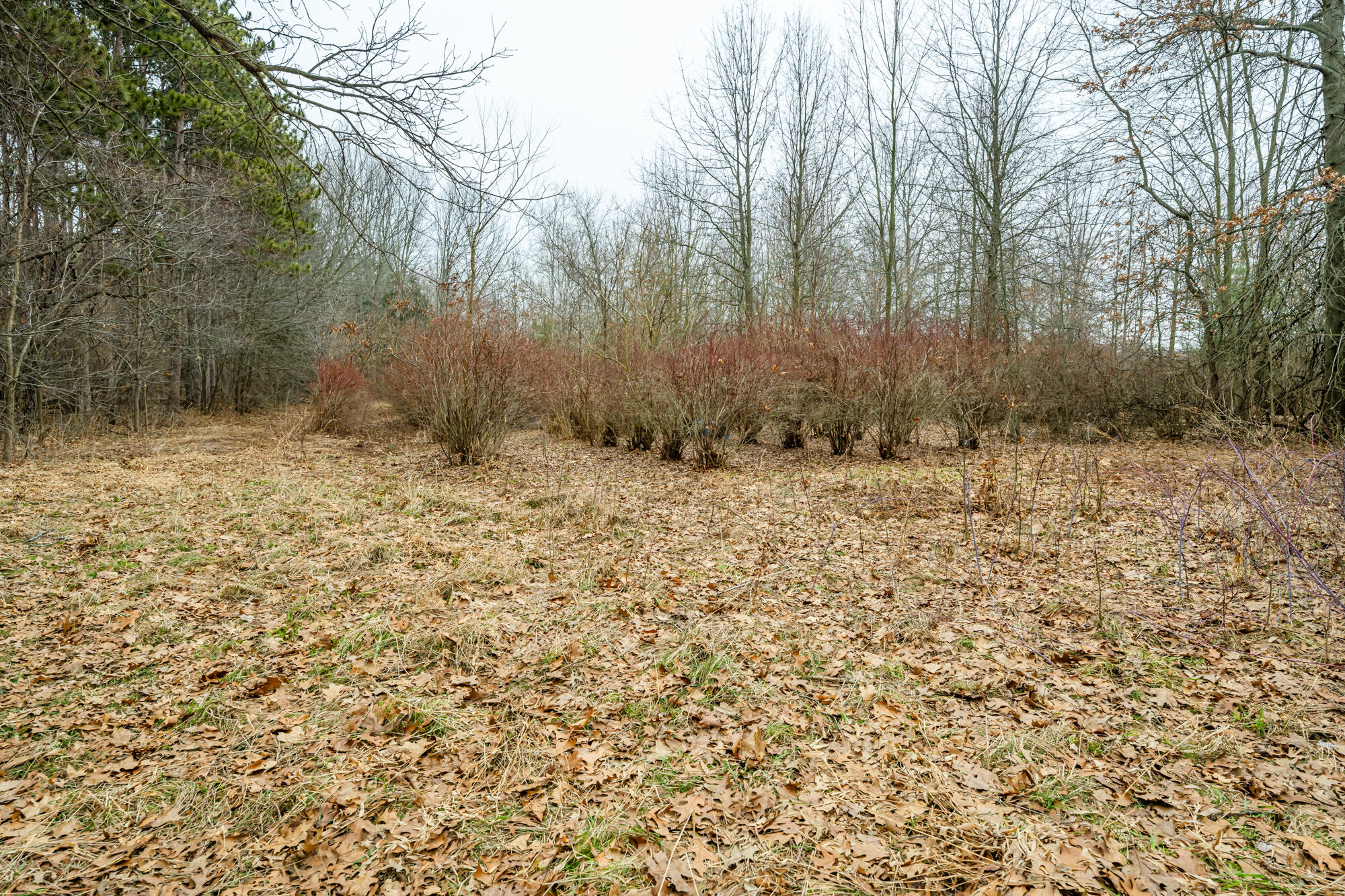 A Linke Road Bridgman, MI 49106 - Photo 10 of 18 Linke-110