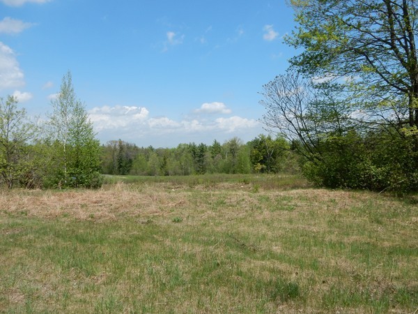 383 Walnut Hill Road Orange, MA 01364 - Photo 1 of 5