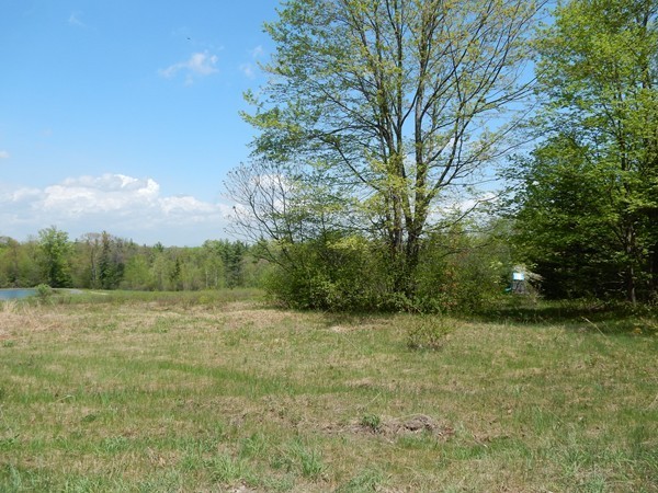 383 Walnut Hill Road Orange, MA 01364 - Photo 2 of 5