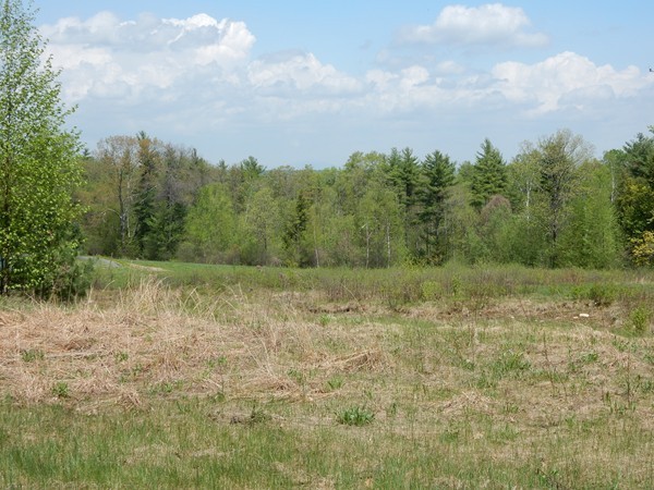 383 Walnut Hill Road Orange, MA 01364 - Photo 3 of 5