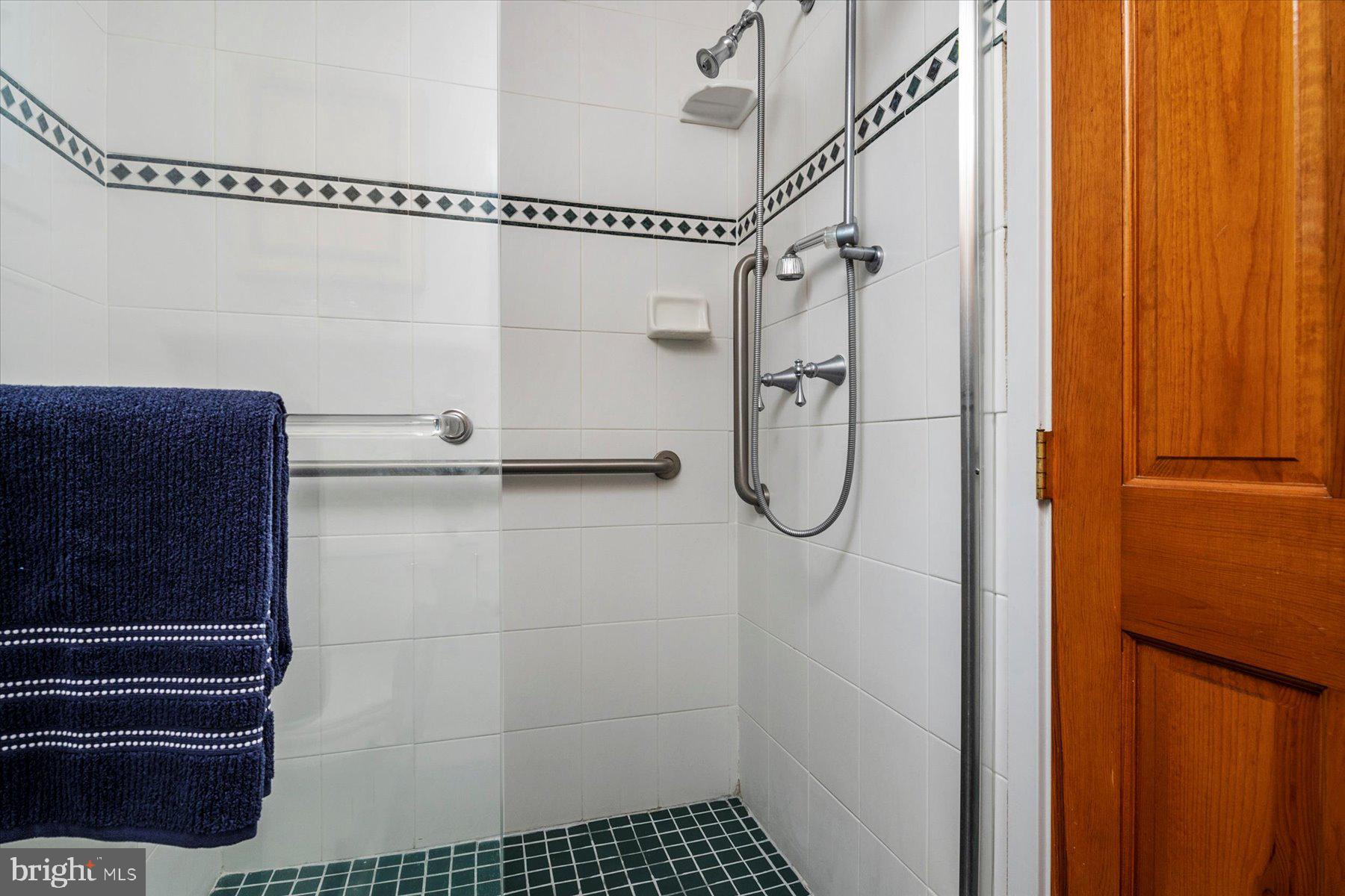 514 Fourth Street Annapolis, MD 21403 - Photo 20 of 40 Primary bathroom