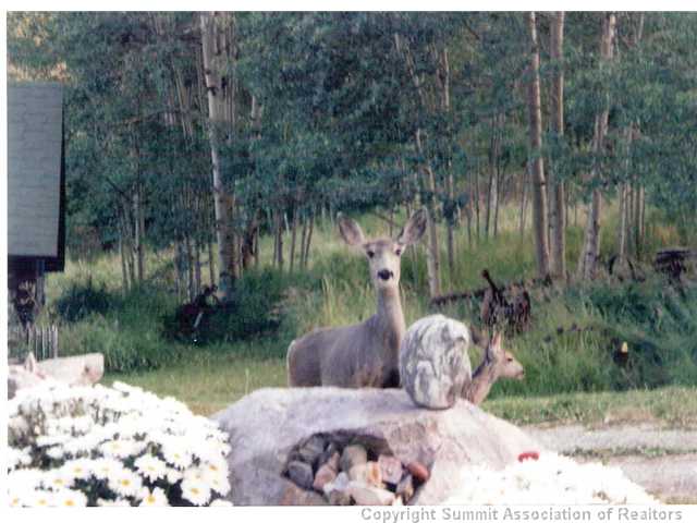 1555 South Ruby Road Silverthorne, CO 80498 - Photo 24 of 25 Other.