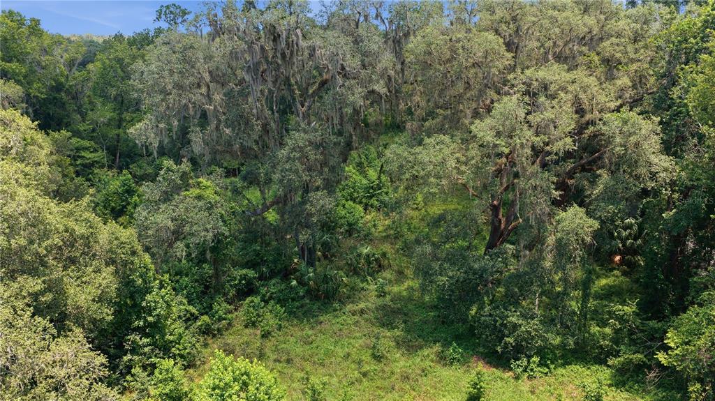 17400 Northwest 120th Ave Road Reddick, FL 32686 - Photo 9 of 37