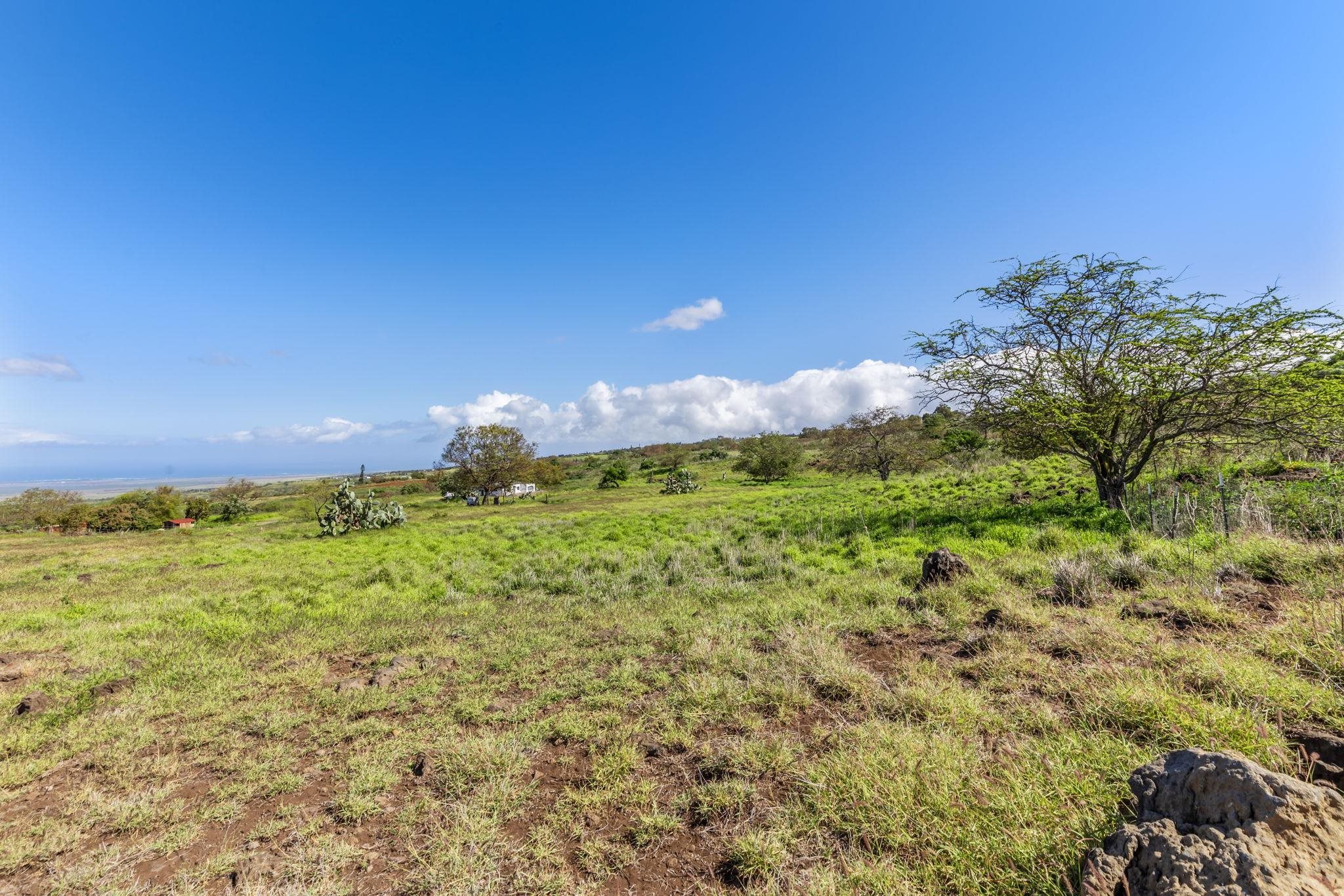 0 Calasa Road Kula, HI 96790 - Photo 19 of 39
