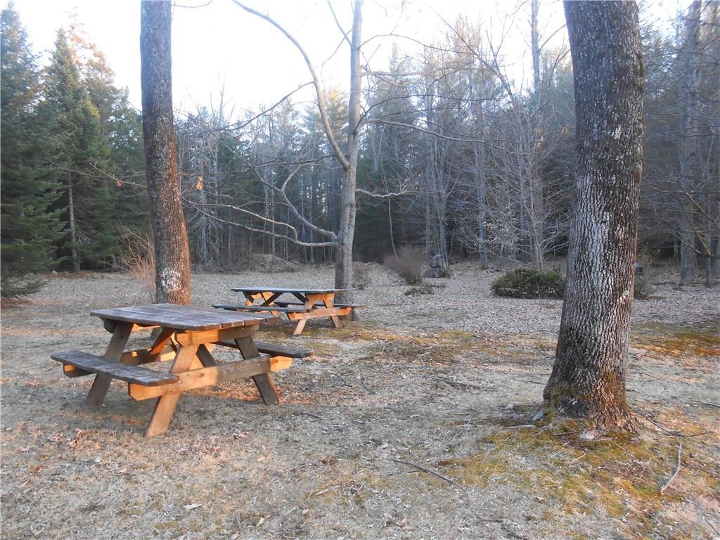 341 Ryerson Hill Road South Paris, ME 04281 - Photo 9 of 18 Have yourself a picnic in the park...