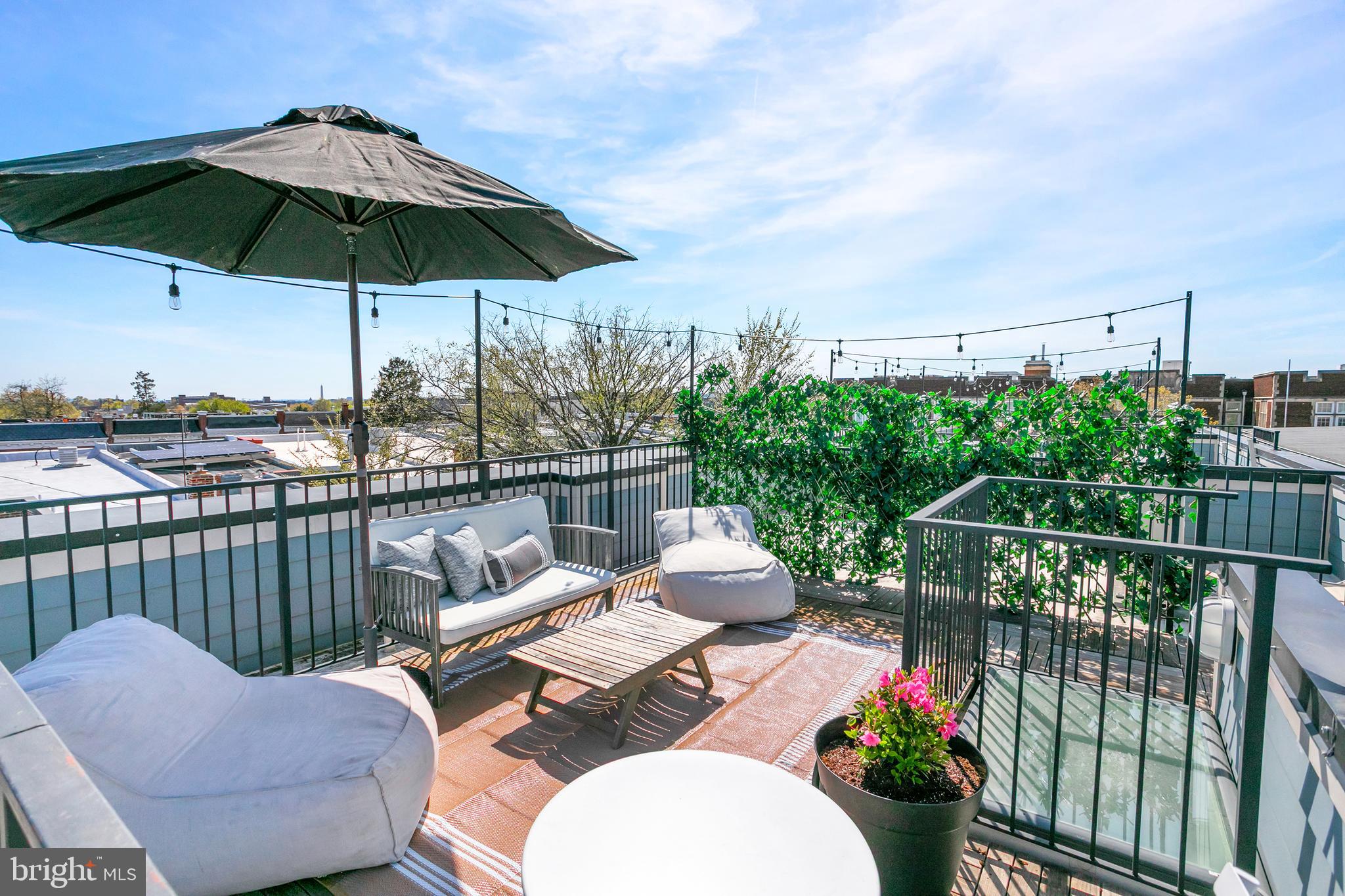 3569 Warder Street Northwest, Unit 5 Washington, DC 20010 - Photo 29 of 39 Roof Deck