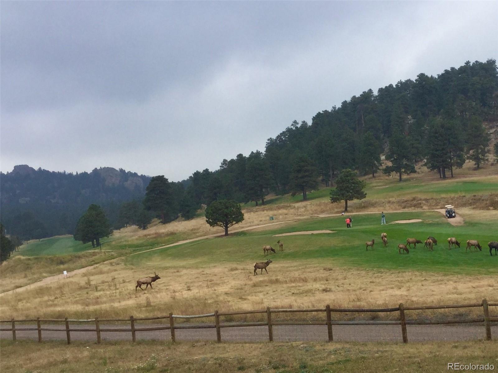 29397 Summit Road Evergreen, CO 80439 - Photo 29 of 30 Gallery Image 29