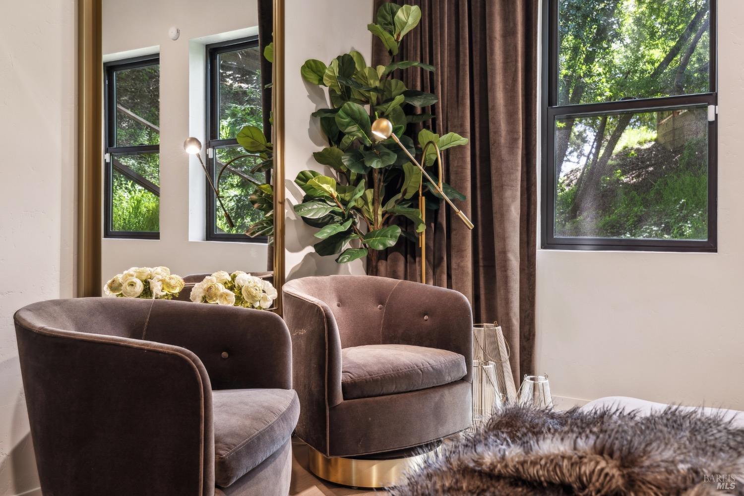 86 Fair Drive San Rafael, CA 94901 - Photo 38 of 65 a living room with furniture and a potted plant