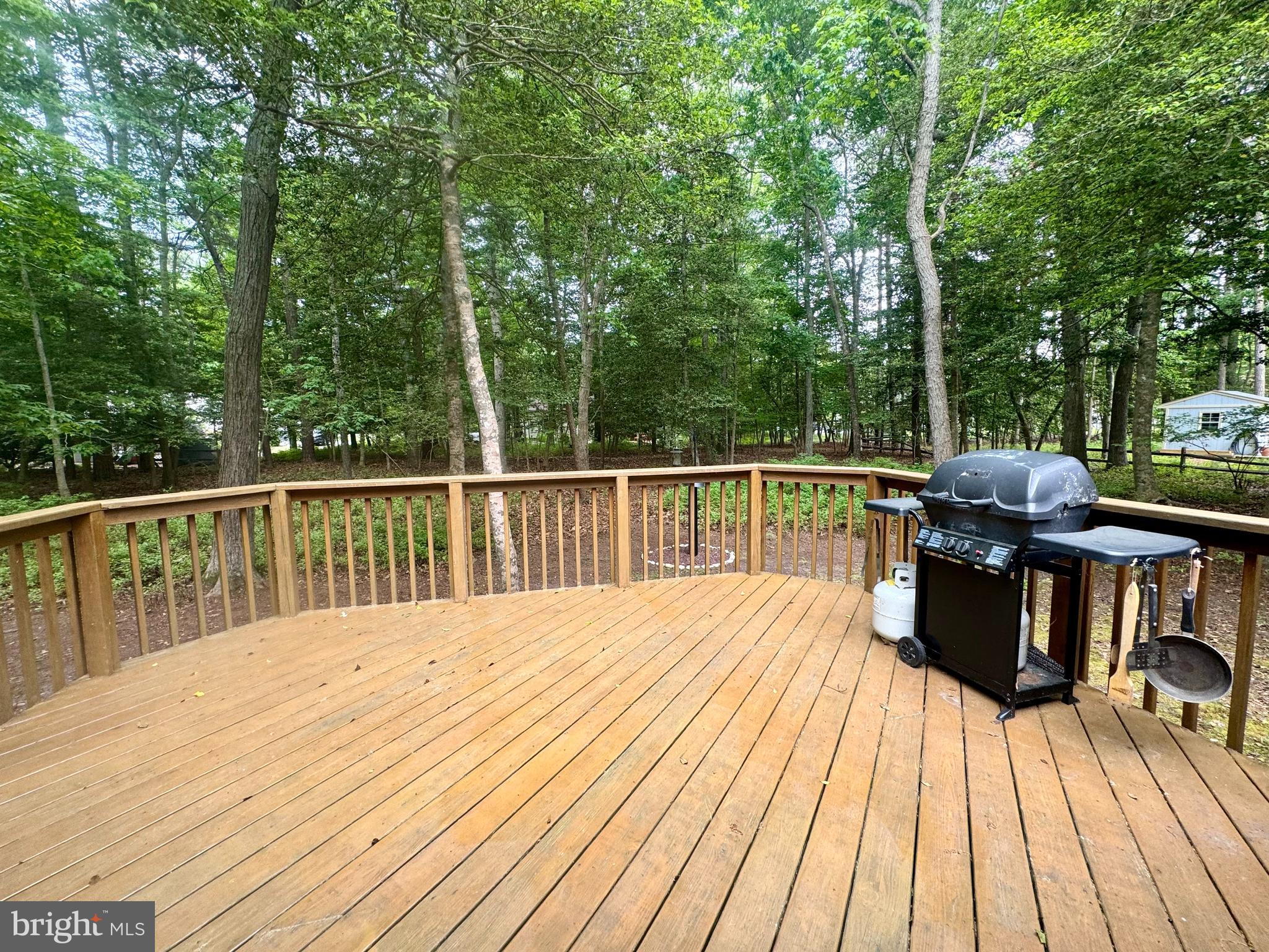 34404 Owls Nest Road Lewes, DE 19958 - Photo 11 of 63 Back Deck