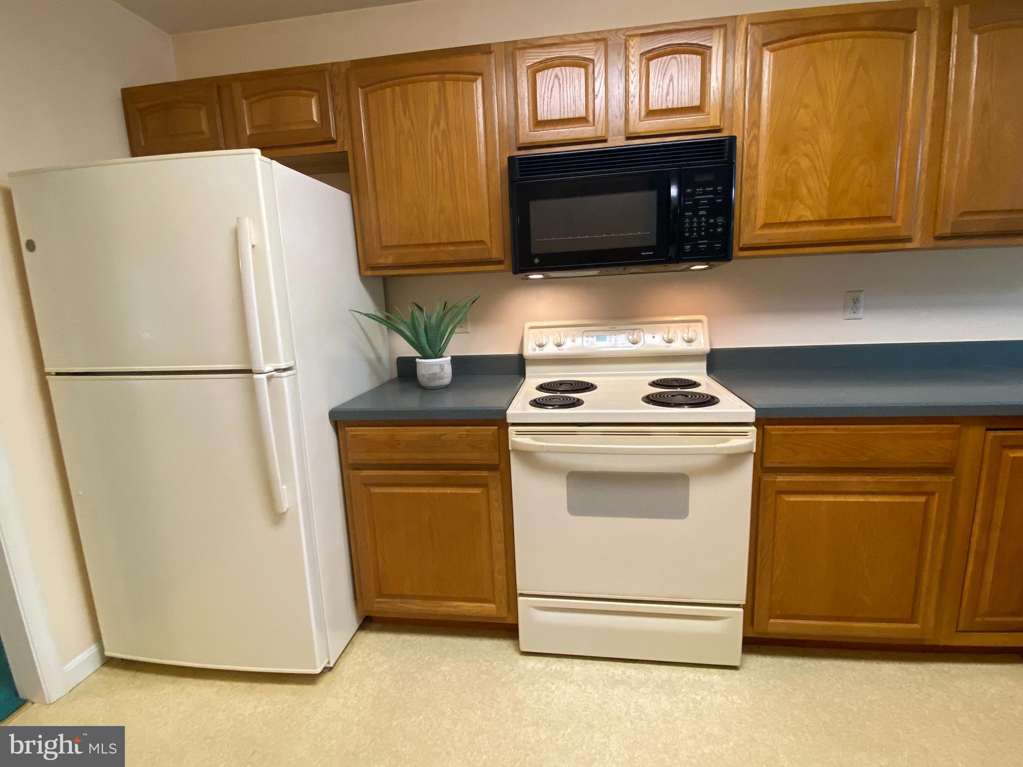 34404 Owls Nest Road Lewes, DE 19958 - Photo 26 of 63 Refrigerator and Microwave new in 2020