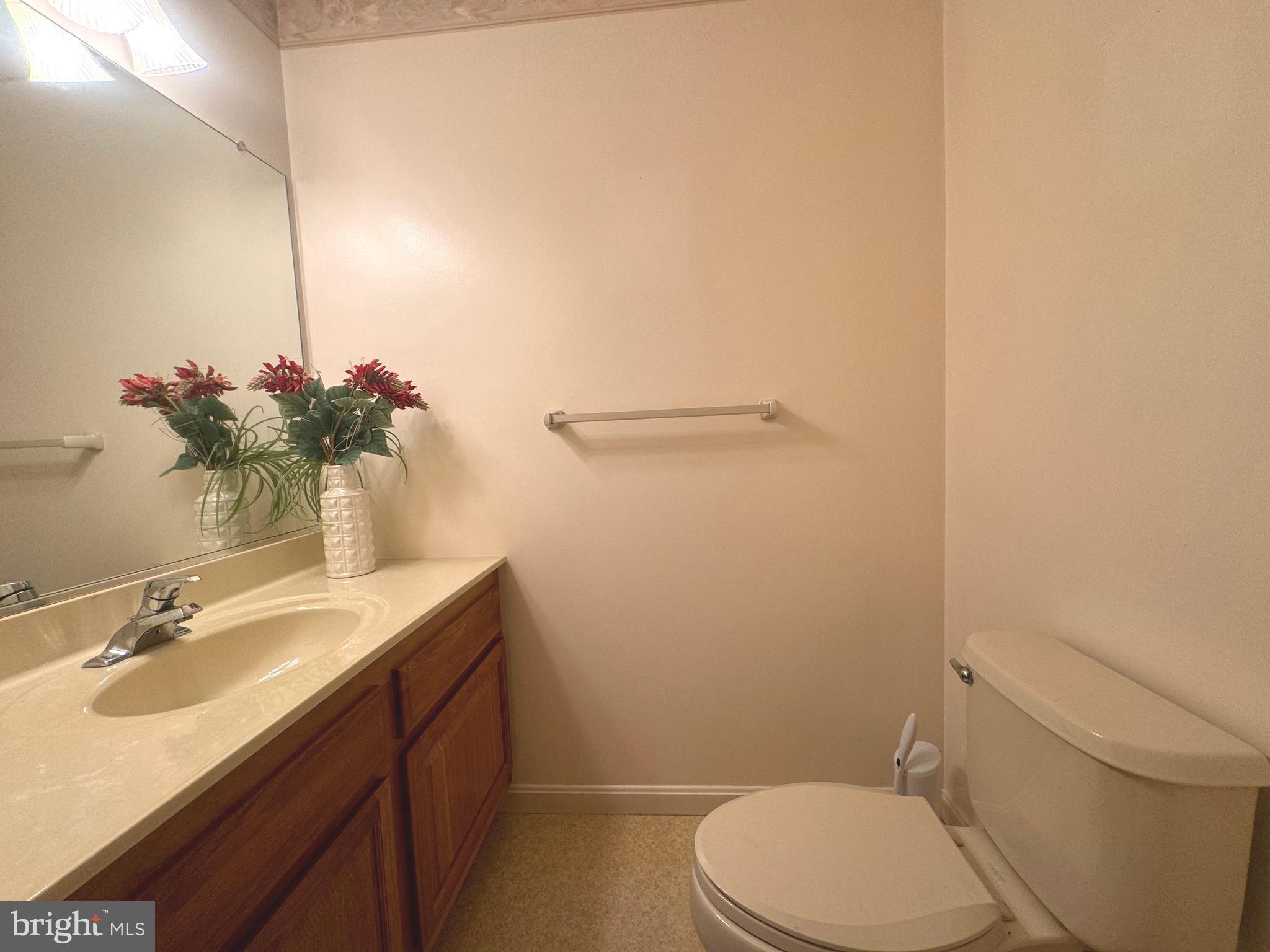 34404 Owls Nest Road Lewes, DE 19958 - Photo 40 of 63 Large half-bathroom off of the garage entry