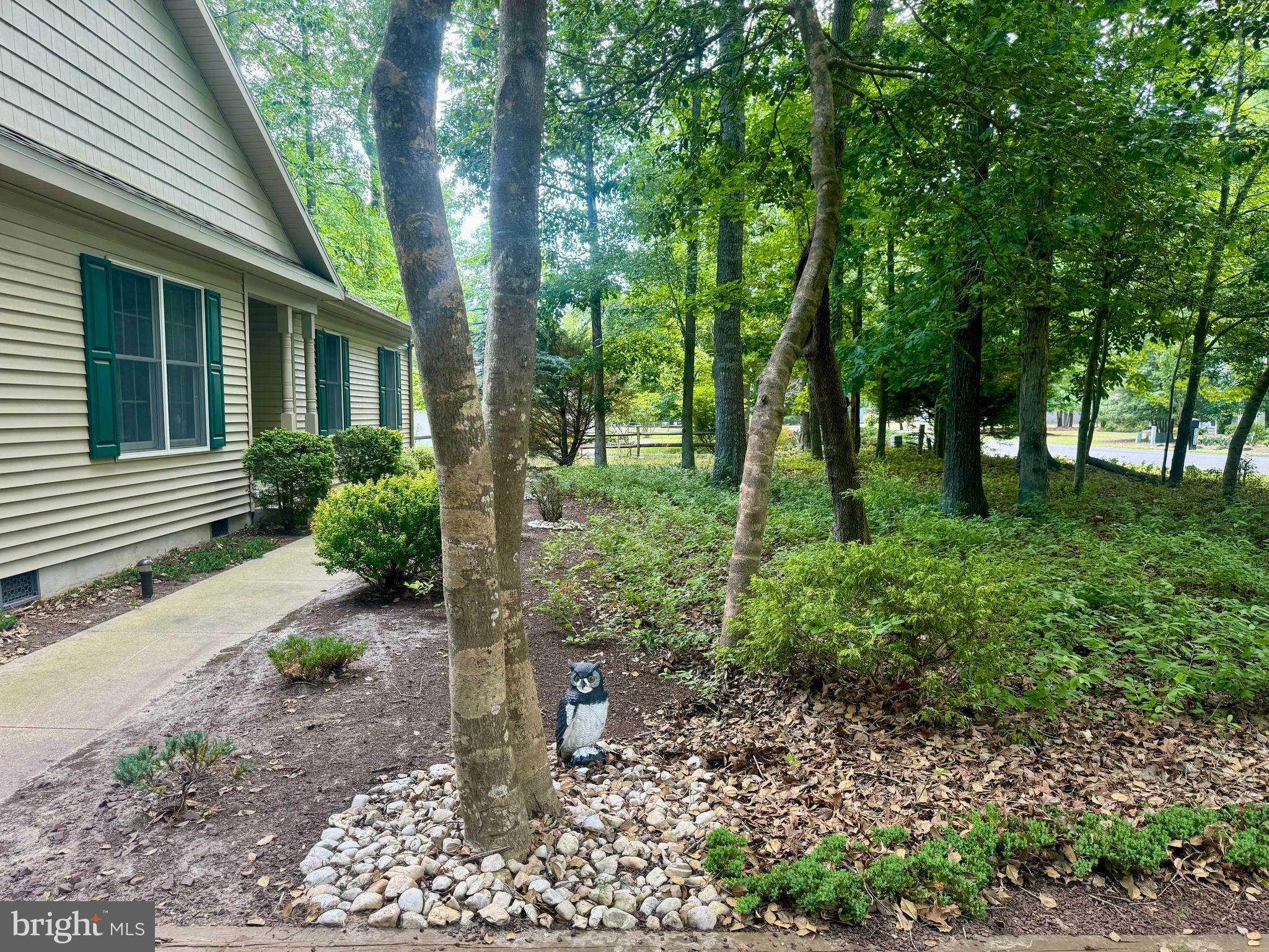 34404 Owls Nest Road Lewes, DE 19958 - Photo 4 of 63 Front yard