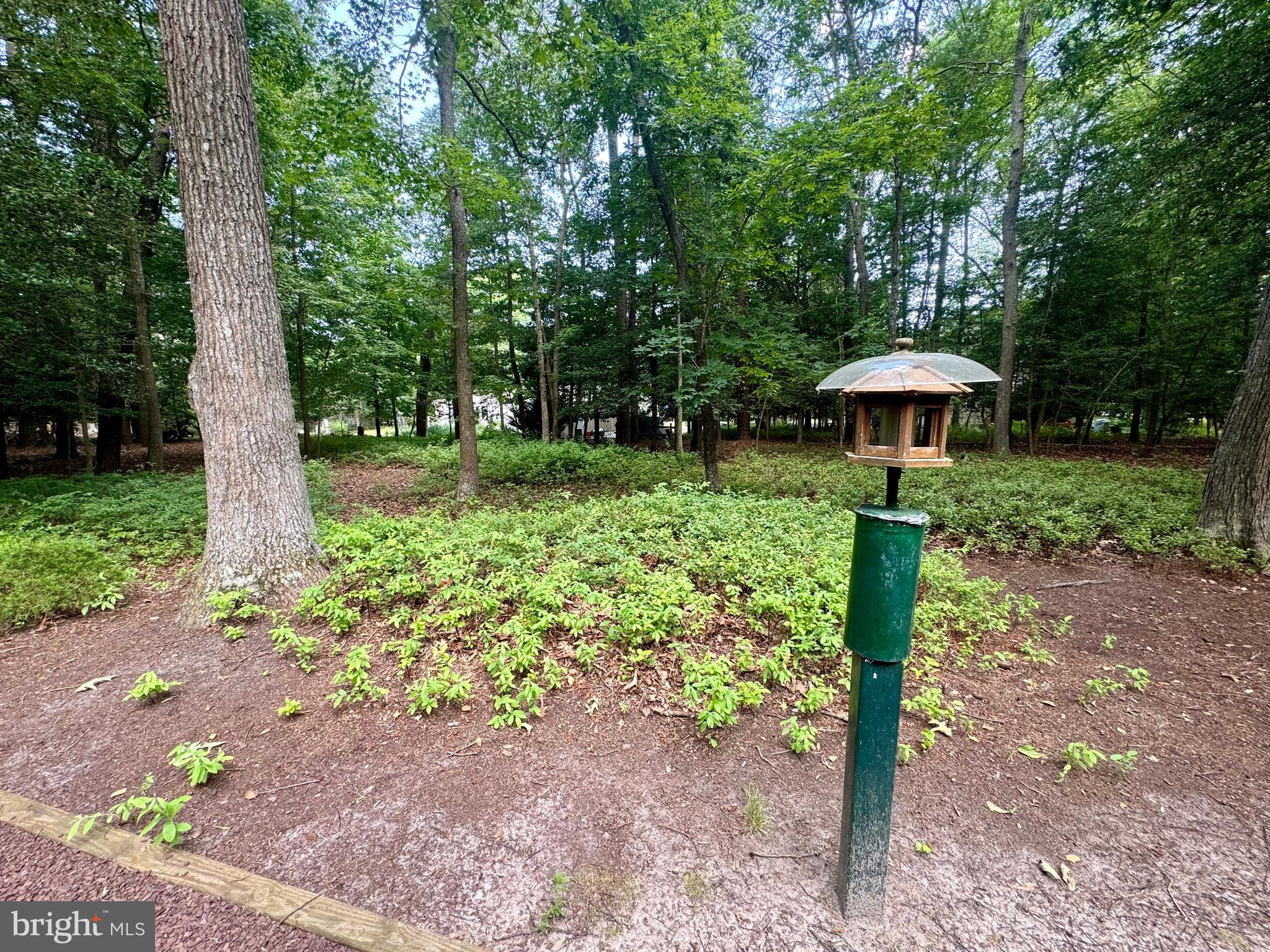 34404 Owls Nest Road Lewes, DE 19958 - Photo 49 of 63 Backyard