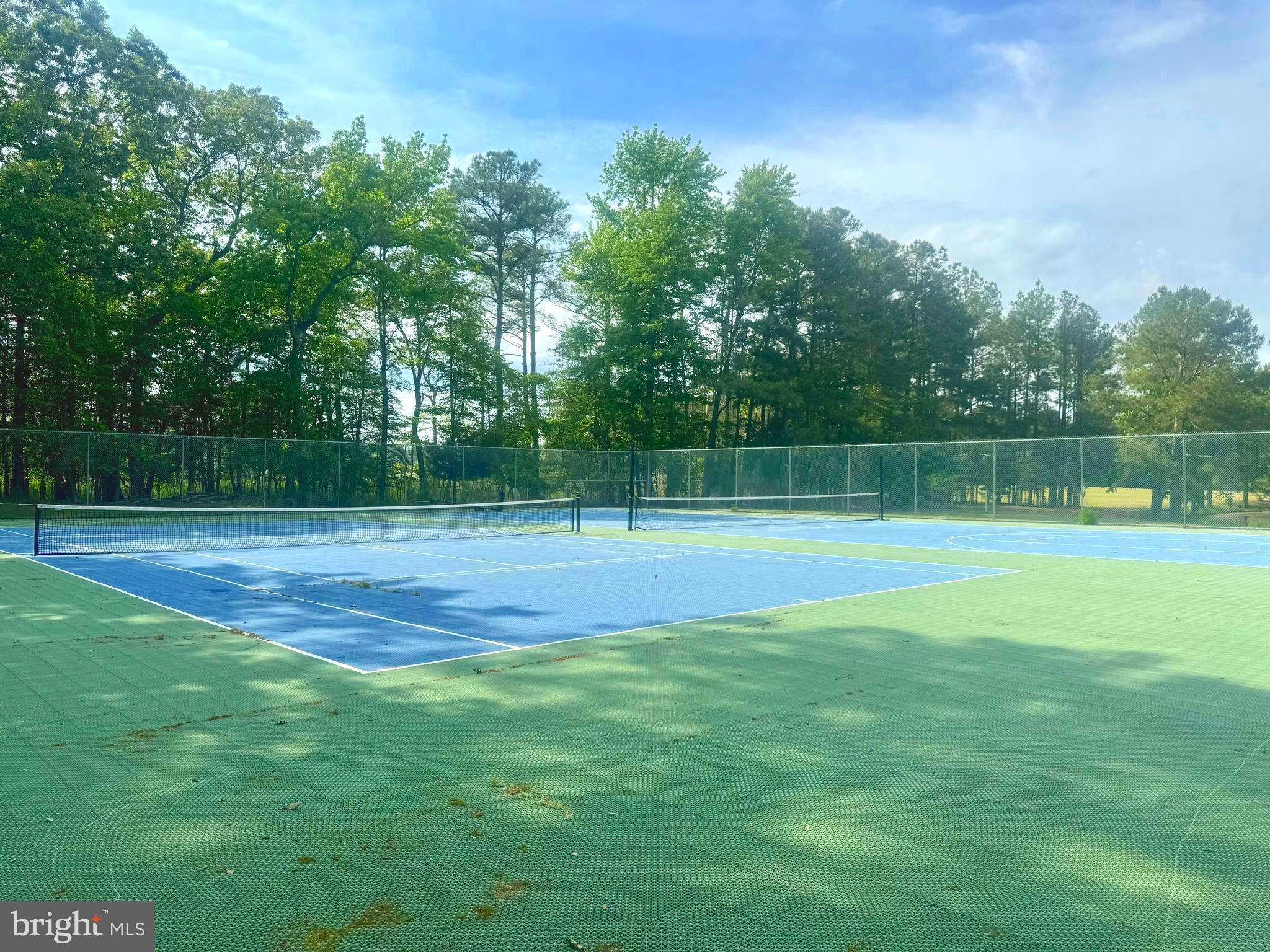 34404 Owls Nest Road Lewes, DE 19958 - Photo 54 of 63 Tennis Courts