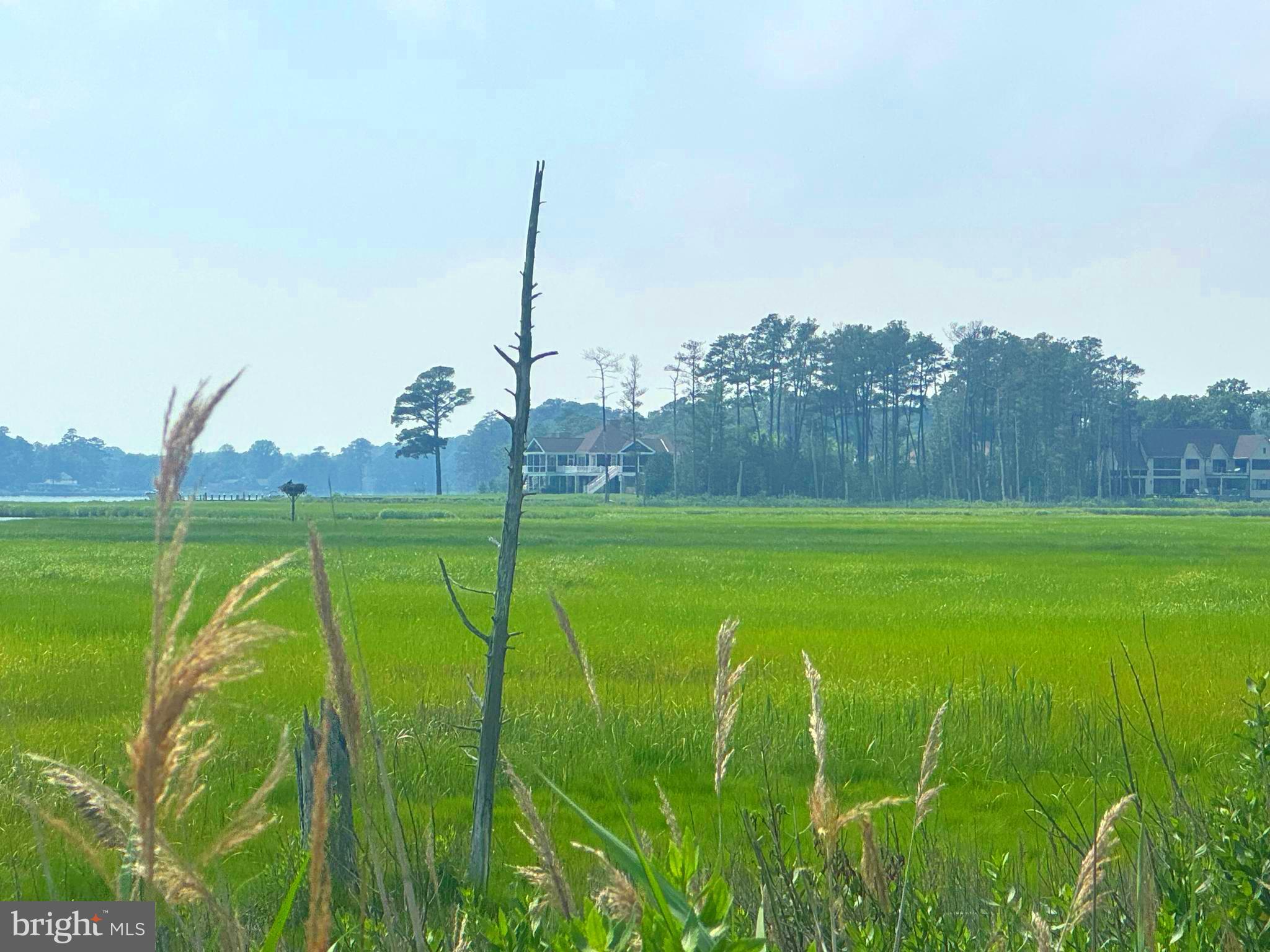 34404 Owls Nest Road Lewes, DE 19958 - Photo 60 of 63 Wetlands of Herring Creek at community overlook