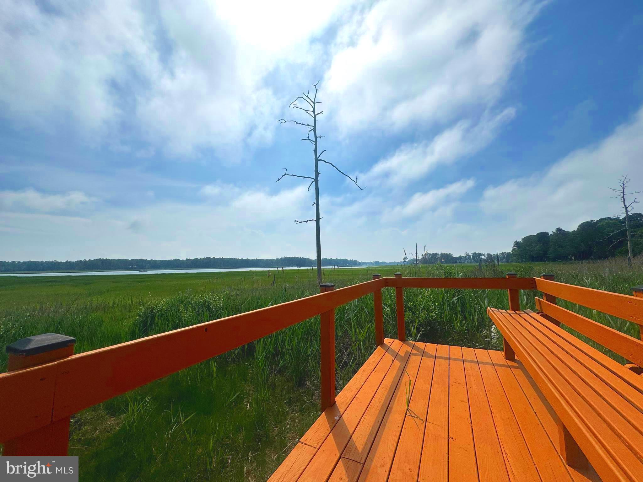 34404 Owls Nest Road Lewes, DE 19958 - Photo 61 of 63 Community Overlook of Herring Creek