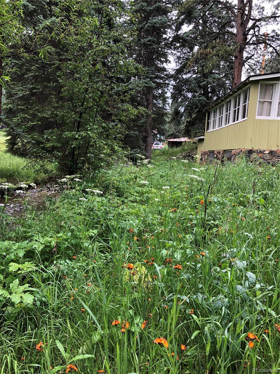 7256 South Brook Forest Road Evergreen, CO 80439 - Photo 19 of 31 Gallery Image 19