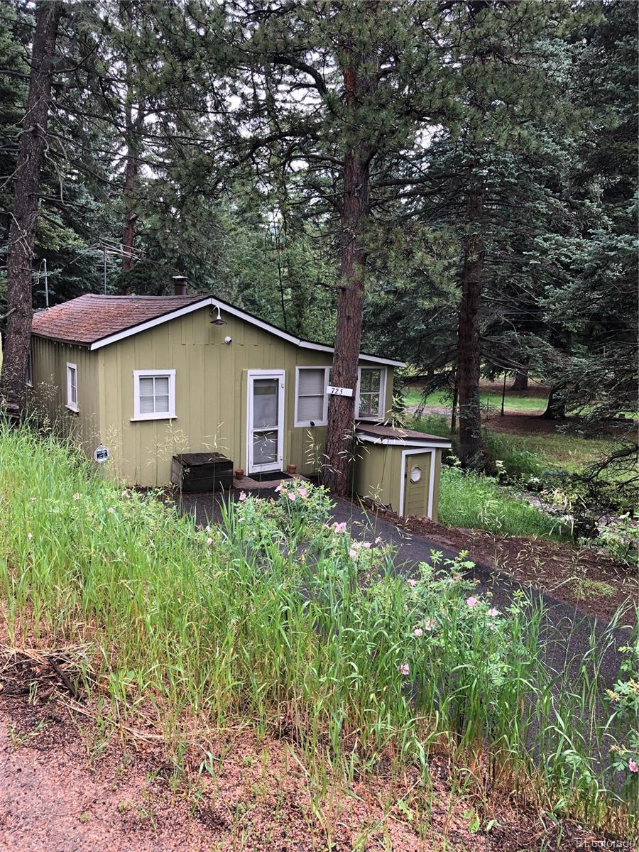 7256 South Brook Forest Road Evergreen, CO 80439 - Photo 4 of 31 Gallery Image 4