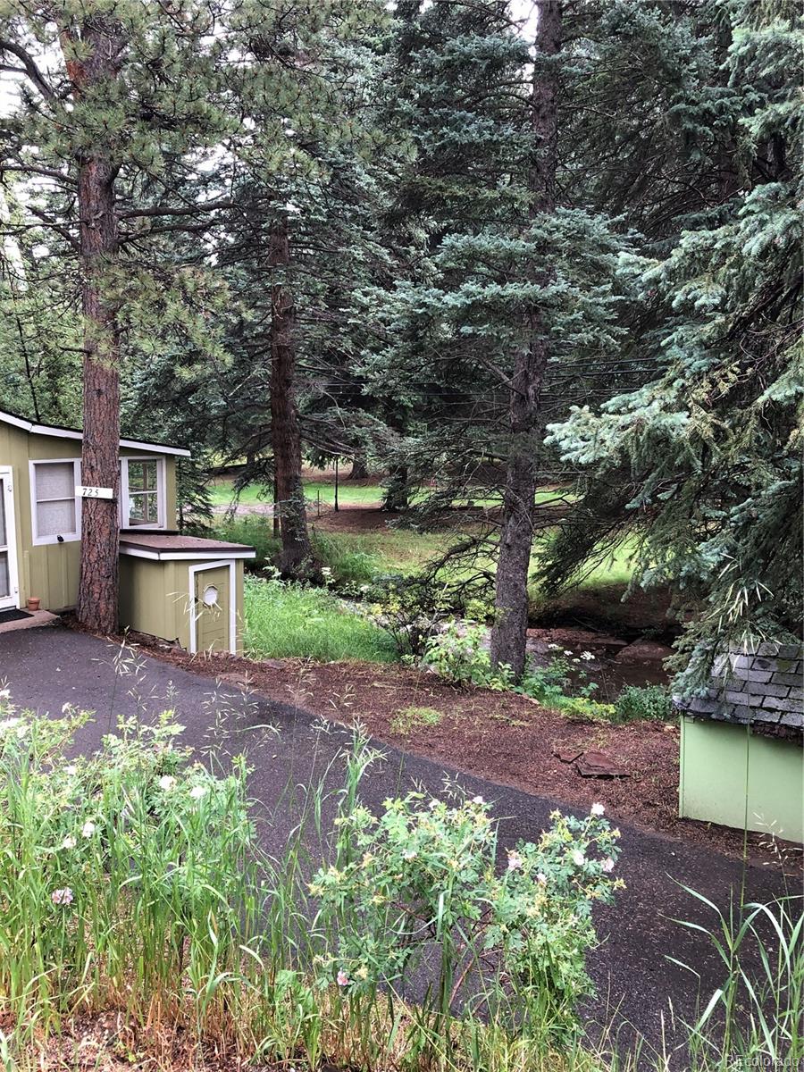 7256 South Brook Forest Road Evergreen, CO 80439 - Photo 5 of 31 Gallery Image 5