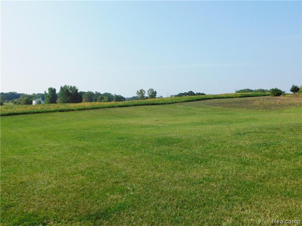 5397 Vines Road Howell, MI 48843 - Photo 19 of 19 DSCN0679.JPG