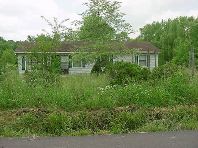 Primary Photo