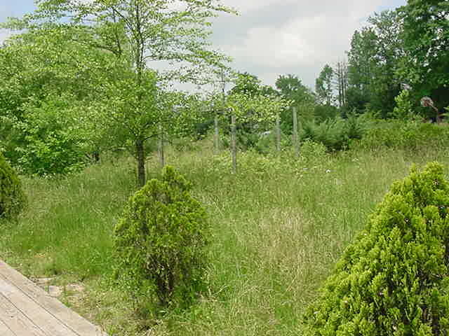 216 Reagan Road Southeast Cleveland, TN 37323 - Photo 3 of 9 Additional Photo
