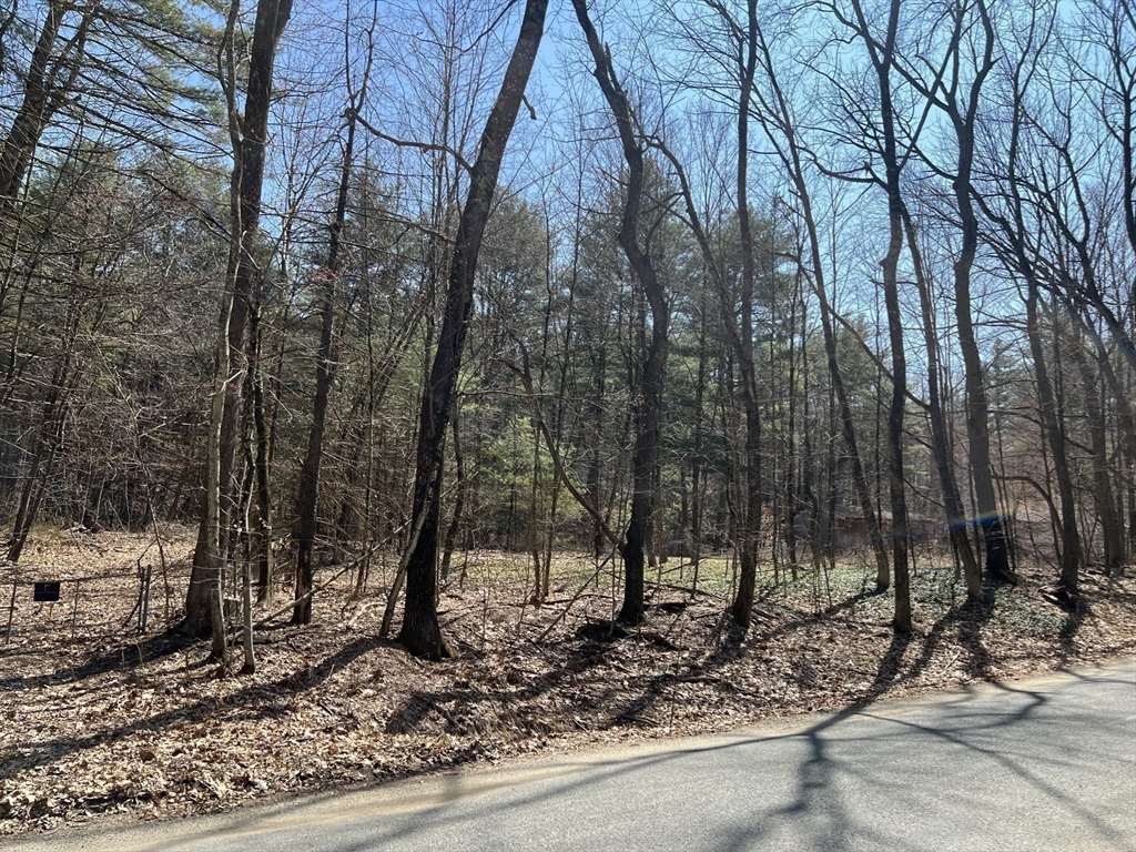 Lot 3 January Hills Road Shutesbury, MA 01002 - Photo 3 of 9