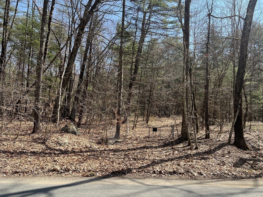 Lot 3 January Hills Road Shutesbury, MA 01002 - Photo 4 of 9