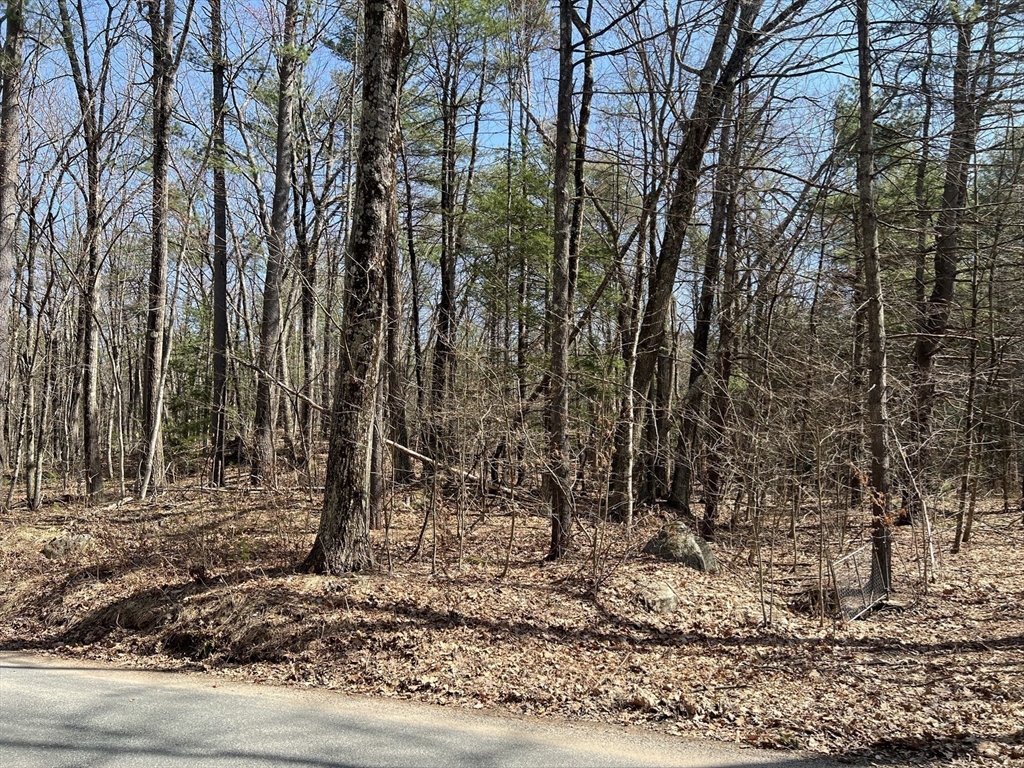 Lot 3 January Hills Road Shutesbury, MA 01002 - Photo 5 of 9