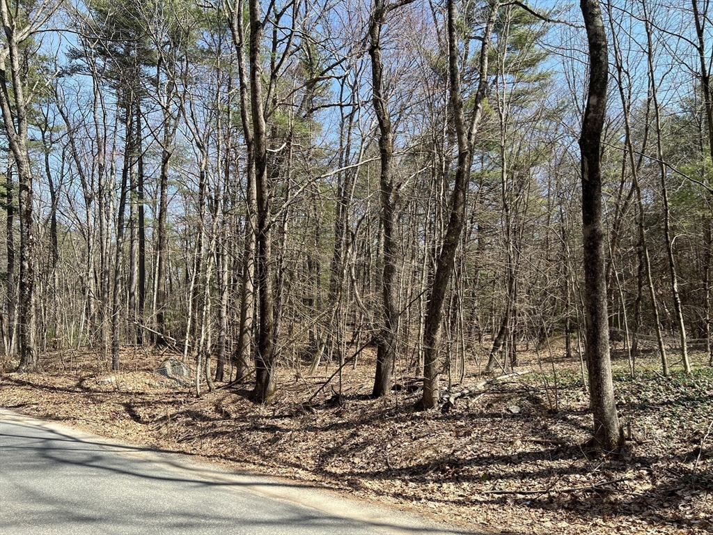 Lot 3 January Hills Road Shutesbury, MA 01002 - Photo 6 of 9