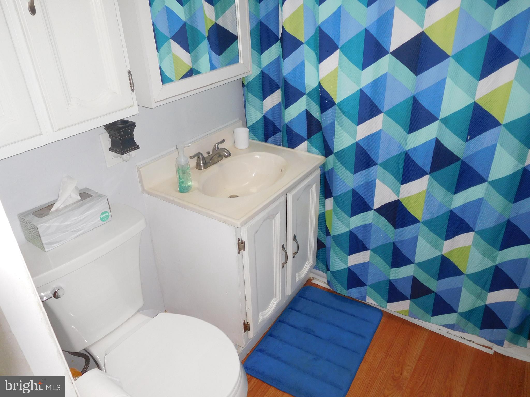 12156 Rambler Road Philadelphia, PA 19154 - Photo 22 of 26 Hall Bathroom