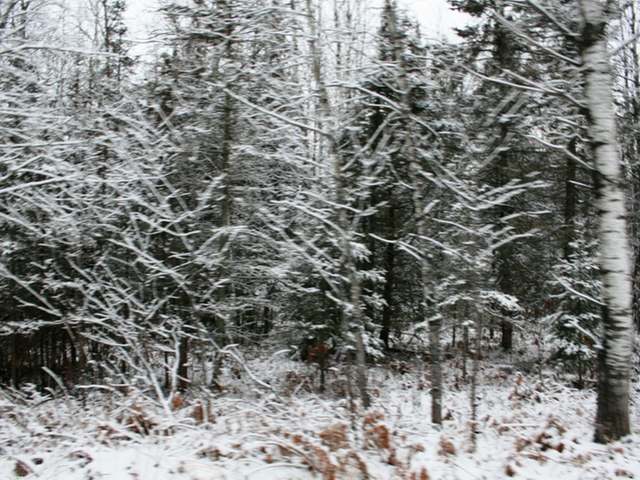 On Hietanen Road Iron River, MI 49935 - Photo 7 of 13 Gallery Image 7