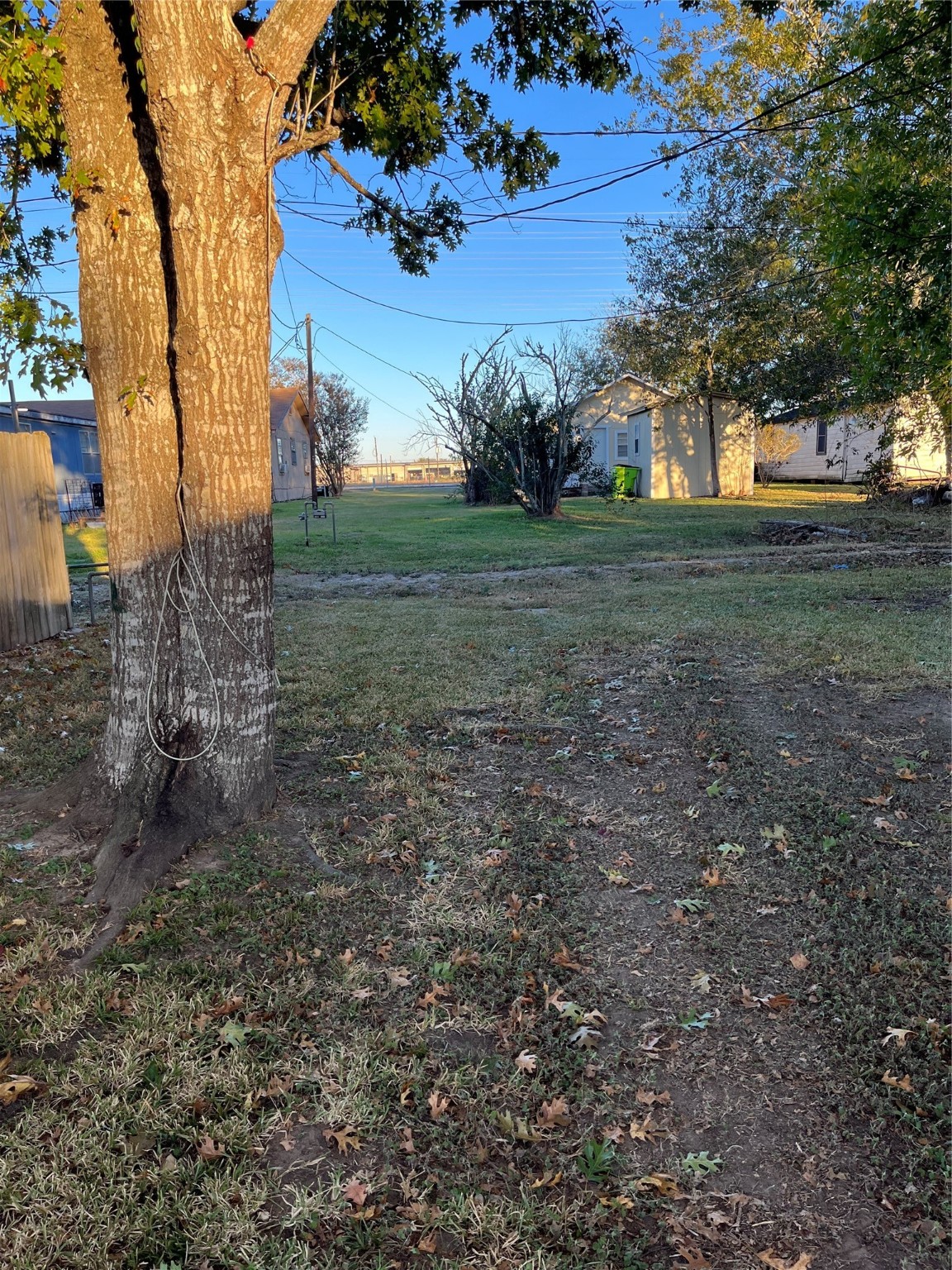 305 7th Street Rosenberg, TX 77471 - Photo 15 of 28 a view of a tree in front of a house with a yard