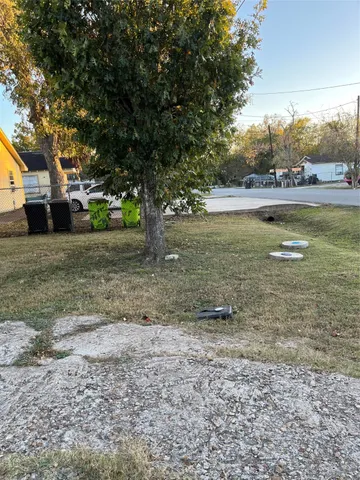 a view of a yard with a tree